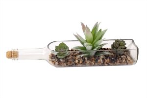 Artificial Flowers Succulents in Bottle 28x7.5cm