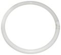 40W CIRCULAR TUBE